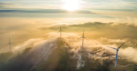 Wenn Windkraftanlagen dramatisch ins Ökosystem eingreifen